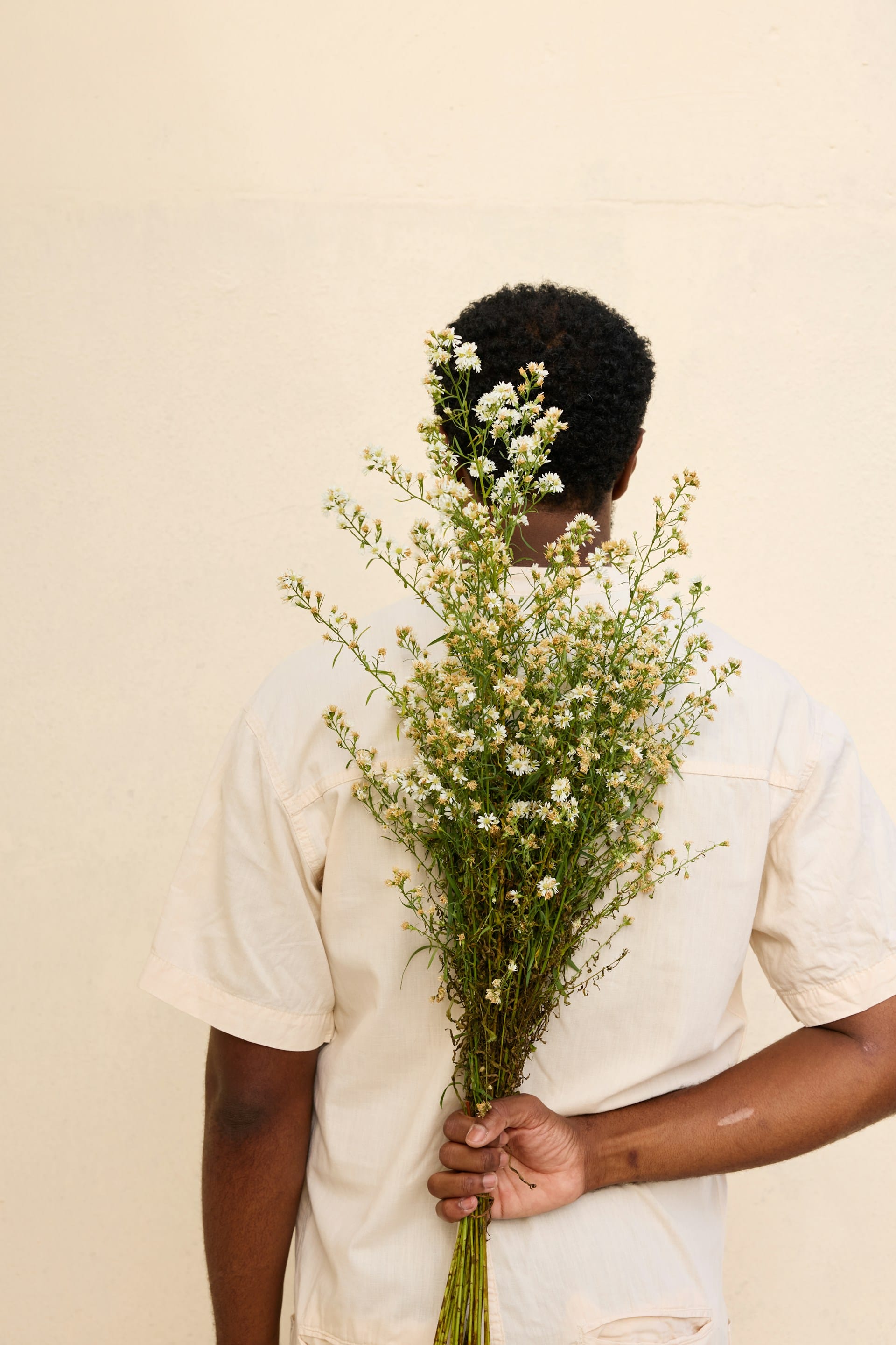 Grow steadily like a tree