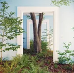 Grow steadily like a tree
