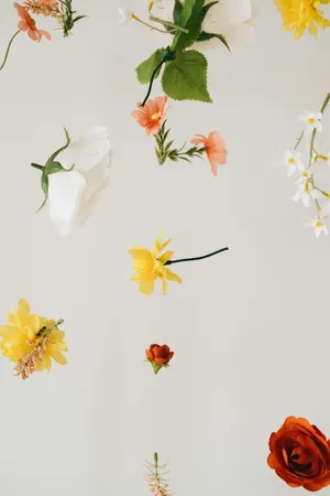 The freedom to slow down and create space can unlock real productivity