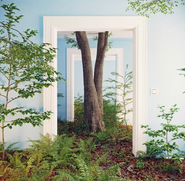 Grow steadily like a tree